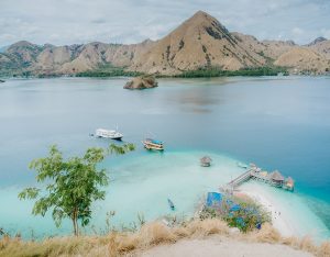 komodo island tours