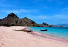 pink beach komodo island tours