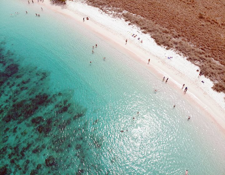 pink beach