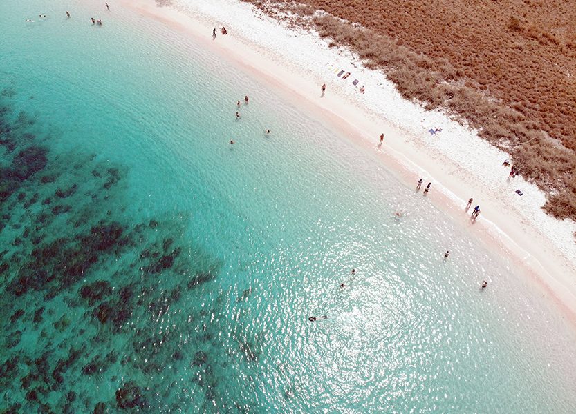 pink beach