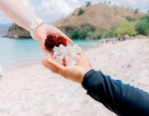 flores sustainable tour