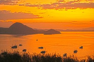 komodo liveaboard tour