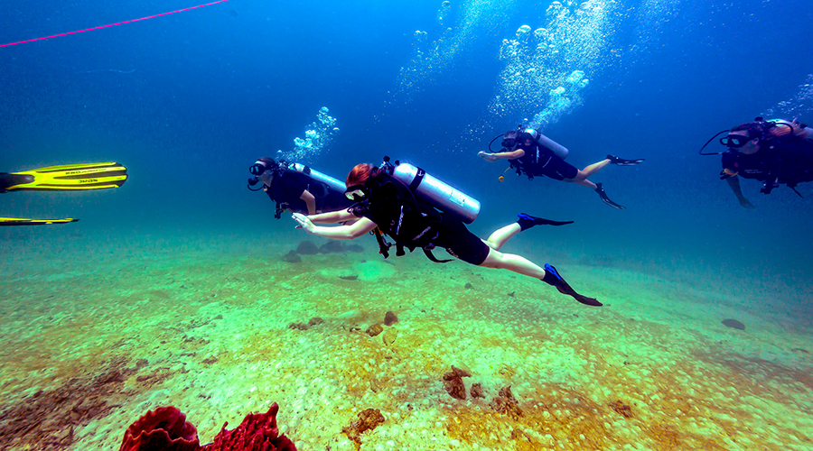 komodo diving