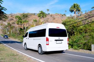 flores rent car